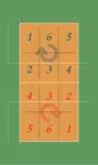 Here are quick facts regarding the the size and the standard lines, nets and dimensions of a volleyball court. 