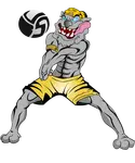 The Volleybragswag dog coloring pages features Ten Cent the Volleybragswag Beach Volleyball Bulldog - All Beast Beach First Team 
