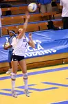 What're the types of volleyball serves like the standing float serve, the jump float where you add spike approach footwork and the topspin and jump spin serves.