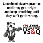 Elevate your game with inspirational quotes for athletes, volleyball players are provided the inspiration and drive to overcome challenges and achieve goals. 