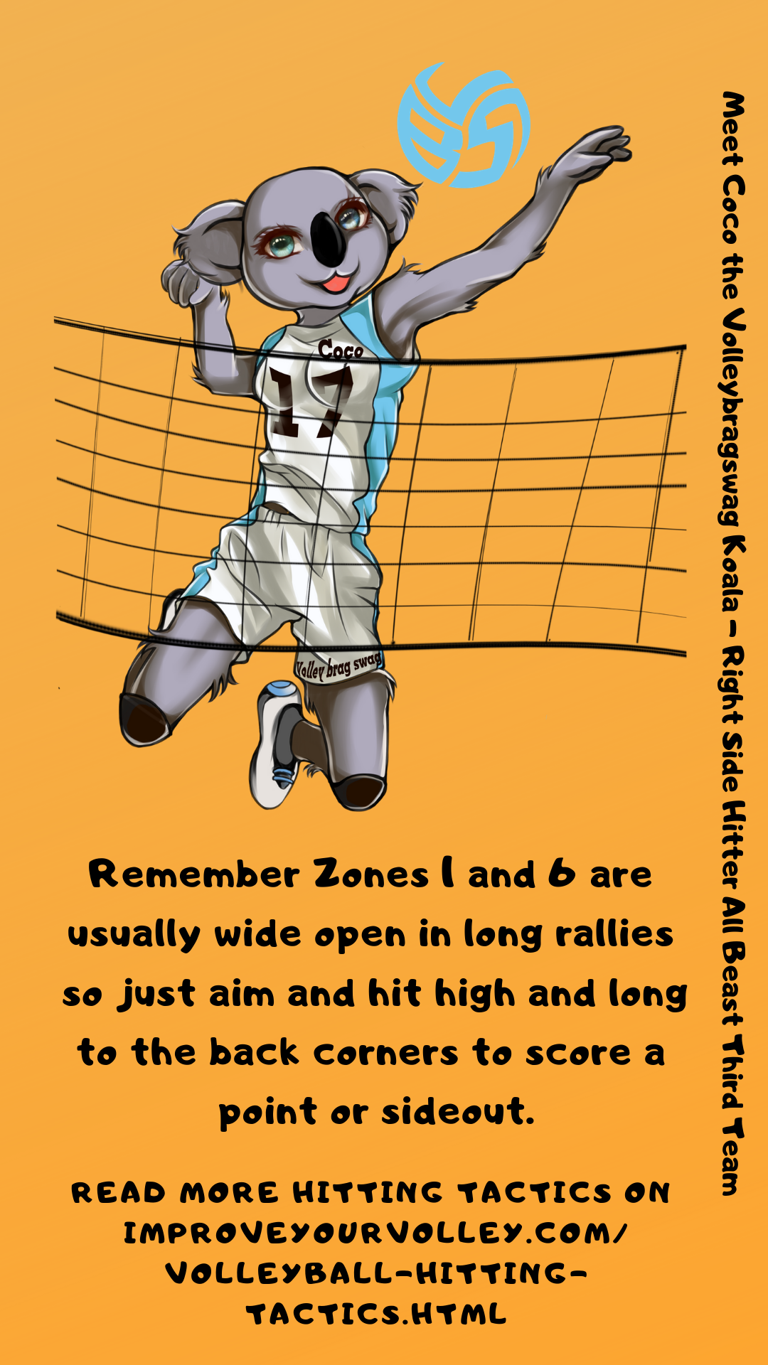 Hitting Tactics: Remember Zones 1 and 6 tend to be wide open during long rallies.