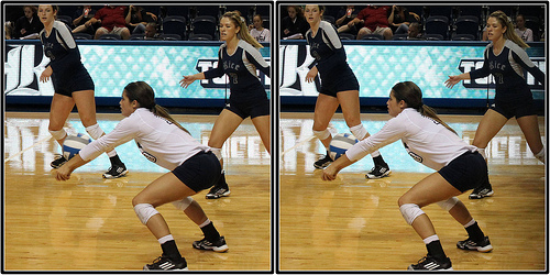 Volleyball Skills For Digging: A List of 9 Volleyball Basic Dig Steps: These 3 volleyball tips for digging a ball describe how to dig a ball without taking a step, taking one step and taking three steps away from your base in defense.