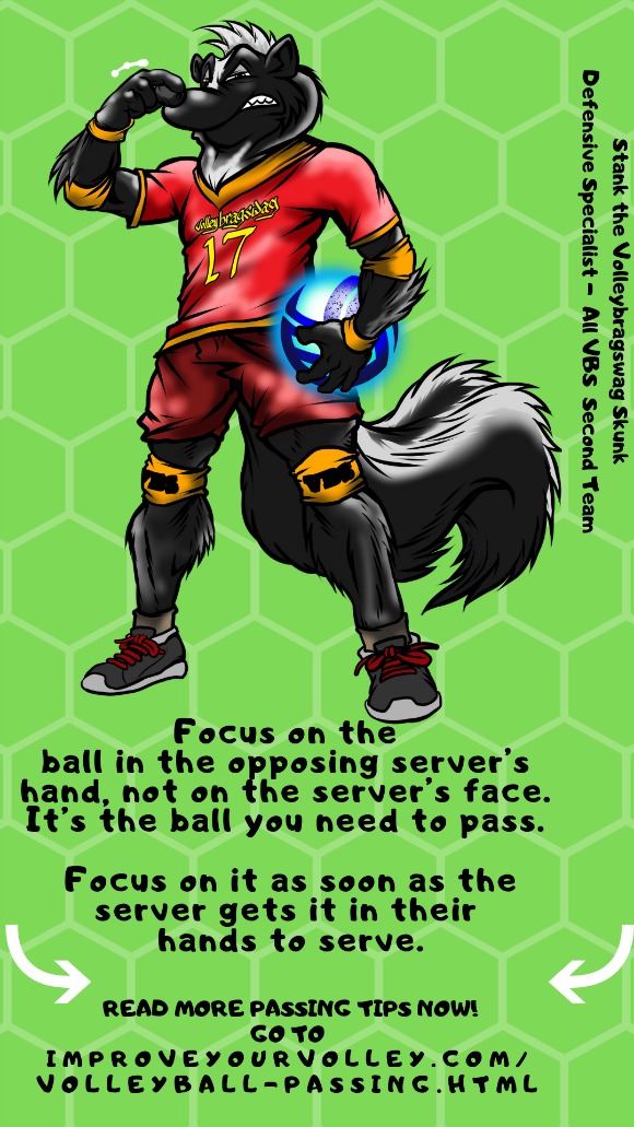 Improve Your Passing Tips: Focus on the ball in the opposing server's hands not on the server's face. Its the ball you have to pass.