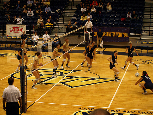 Transition Drills For Volleyball: When your team digs and the ball stays on your side your team changes or "transitions" from being a team on defense to becoming a team on offense. (LTMayers)