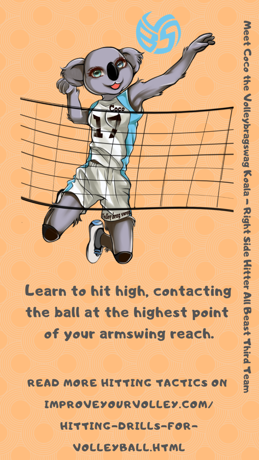 Hitting Tactics: Learn to hit high contacting the ball at the top of your armswing reach and at the highest point of your vertical jump.