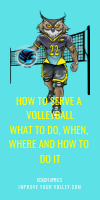 How To Serve A Volleyball What To Do, When, Where and How To Do It by April Chapple
