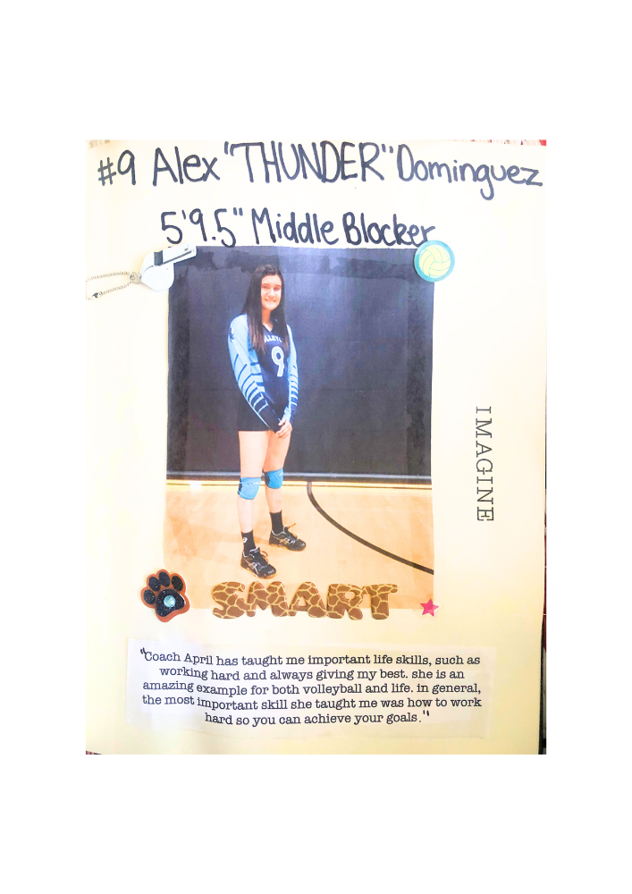 April Chapple Volleyball Coach Testimonials -

"Coach April has taught me important life skills such as working hard and always giving my best she is an amazing example for both volleyball and life, in general. The most important skill she taught me was how to work hard so you can achieve your goals.