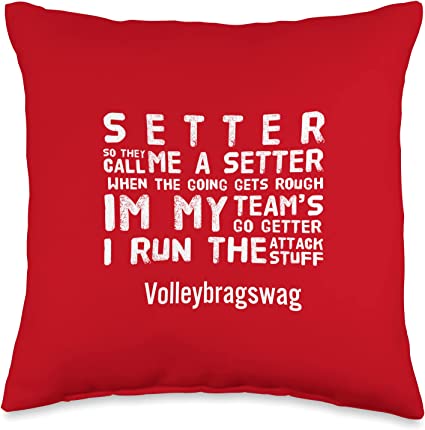 setter pillow red