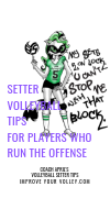 Setter Volleyball Tips For Players Who Run The Offense by April Chapple