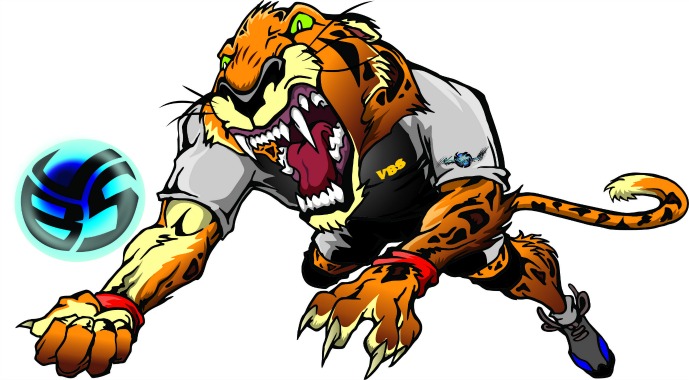 Meet Saber the Jaguar..the Volleybragswag defensive specialist.