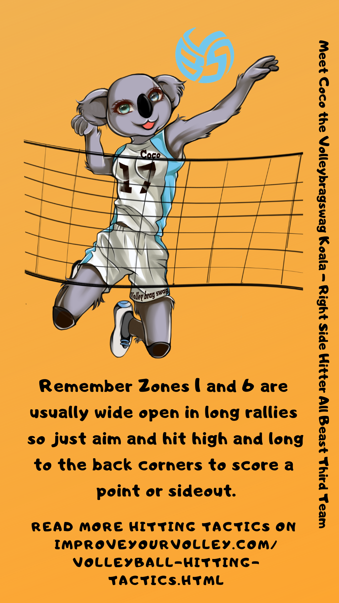 Hitting Tactics: Remember Zone 1 and 6 are often quite open during long rallies, so hit high and long aiming for the deep corners of the opposing court.