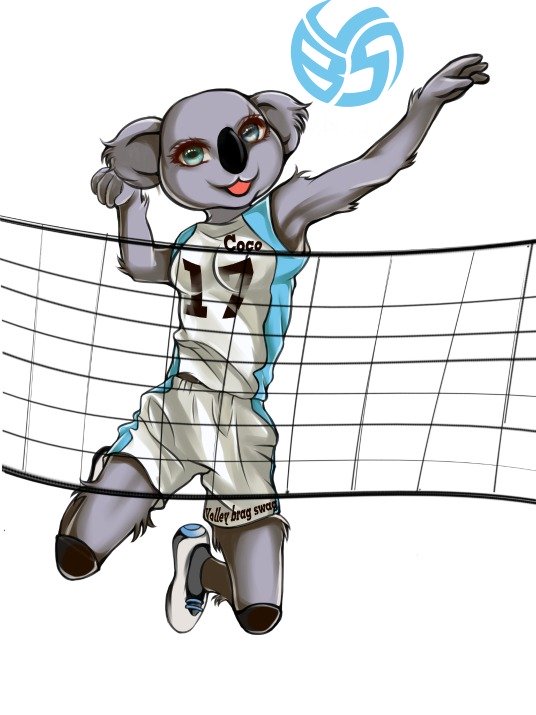 Don't let the big expressive eyes and the cute cheeks and innocent looking face fool you,  Coco the Volleybragswag Koala is a beast on the court.