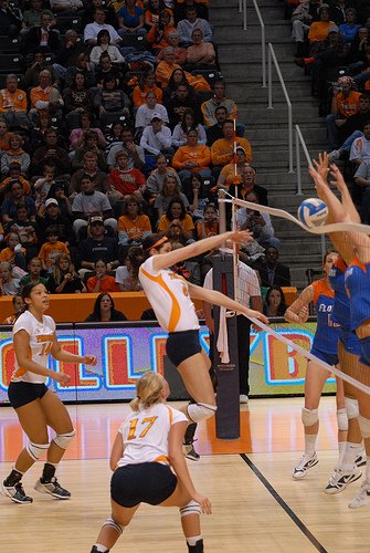 Tennessee was one of five Southeastern Conference teams to receive a bid to the 2017 NCAA volleyball tournament.