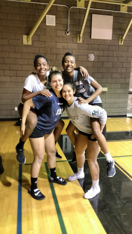 Learn the history of Volleyball Voice Boot Camp classes. How the classes developed into a must attend event and how strength and conditioning played an important part to developing strong players. 