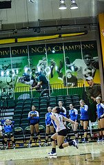 The volleyball jump serve is designed to create alot of speed and pace so the ball hits the ground before the passers in serve receive on the opposing team can get to it.