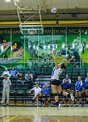 The volleyball jump serve is designed to create alot of speed and pace so the ball hits the ground before the passers in serve receive on the opposing team can get to it.