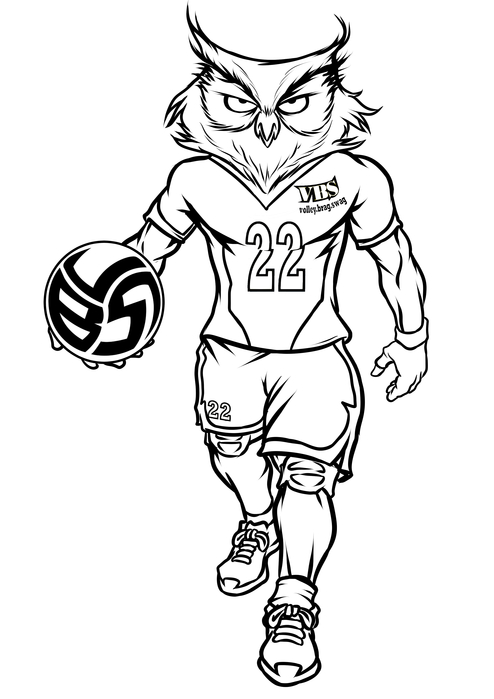 Volleybragswag Coloring Book For Kids 

Over 30 animal coloring pages for kids feature the 16 Volleybragswag volleyball playing beasts.