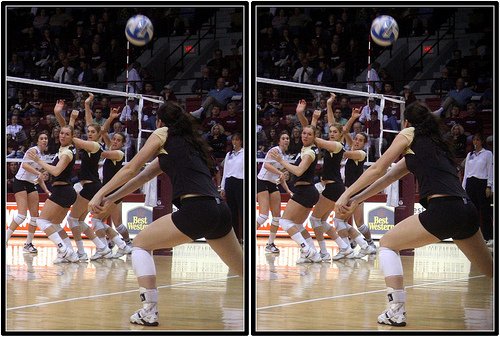 A Beginner's Guide to Volleyball -
What is a Dig?: To "dig a ball" you are in a defensive position, with wrists and thumbs clasped tightly together creating a platform with forearms which contacts the underside of the ball.