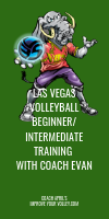 Las Vegas Volleyball Beginner/Intermediate Training with Coach Evan