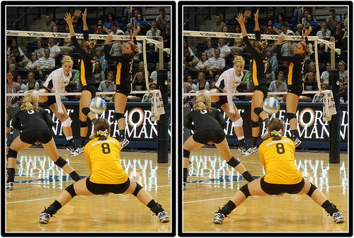 Volleyball Positions: Wichita State Shockers Libero in Defense  Photo by Michael E. Johnston
