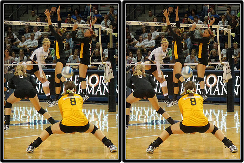 Volleyball Positions: Wichita State Shockers Libero in Defense  Photo by Michael E. Johnston