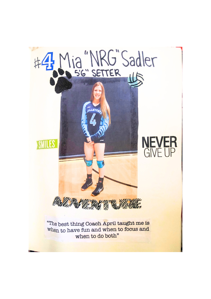 April Chapple Volleyball Coach Testimonials - The best thing Coach April taught me is when to have fun and when to focus and when to do both. (M. Sadler)