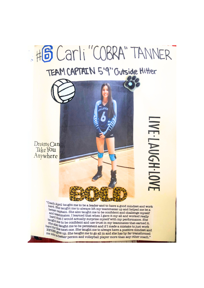 April Chapple Volleyball Coach Testimonials - Coach April taught me to be a leader and to have a good mindset and work hard. She taught me to always lift my teammates up and helped me be a better captain. She also taught me to be confident and to challenge myself and teammates. I learned that when I worked rally hard and gave it my all I would actually surprise myself with my performance. She taught me to be confident and use trust in my teammates that earned it. She also taught me to be persistent and if I made a mistake to work hard for the next one. She taught me to always have a positive mindset and NEVER give up. She taught me to go "all in" and by far has transformed me into a better person and volleyball player more than any coach.
-Carli Tanner