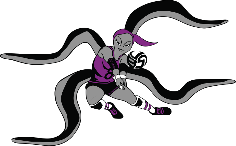 Meet O. I. Gotchu the Volleybragswag Octopus - Libero All Beast First Team