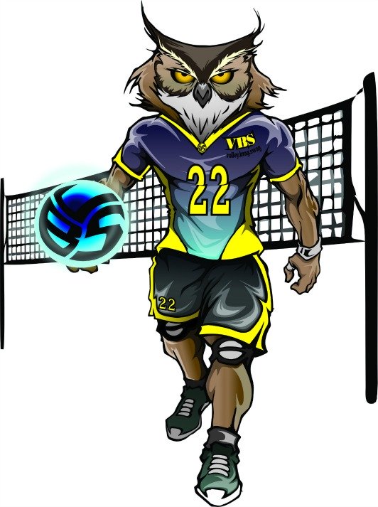 Meet Ollie the Owl, opposite hitter and featured on the Volleybragswag owl t shirts.