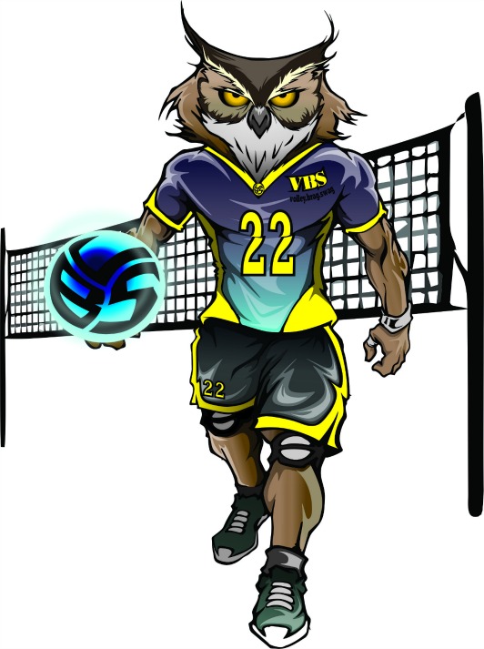 Meet Ollie the Owl  Opposite Hitter Volleybragswag All Beast Third Team