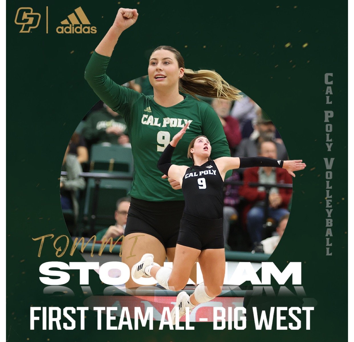 Tommi Stockham                                            First Team All Big West                  Conference Team

Private Volleyball Lessons Client 3+ Years