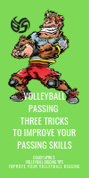 Volleyball Passing: Three Tricks To Improve Your Passing Skills by April Chapple