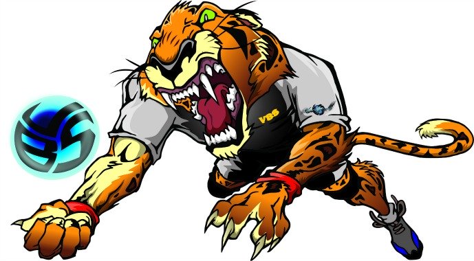 Jaguar shirts by Volleybragswag have Cool Animal T Shirt Designs featuring Saber the Volleybragswag Jaguar - Libero. Saber, a tall libero, covers the court like he’s on the prowl for prey.