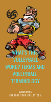 Whats This Volleyball Word For? Terms and Volleyball Terminology by April Chapple